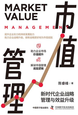 《市值管理:新时代企业战略管理与效益升级》PDF+全格式电子书籍