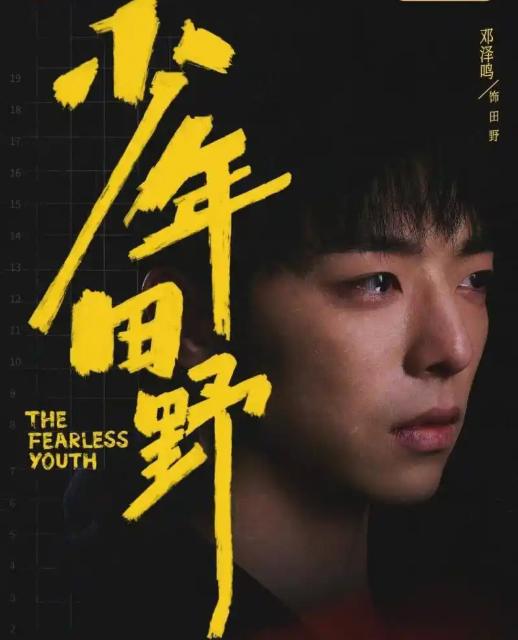 【微短剧】少年田野 (2025)更新11集 【悬疑 / 犯罪】【邓泽鸣 / 王乐夫】
