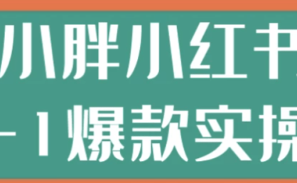 戴小胖小红书从0-1爆款实操课,掌握小红书低成本高回报的变现路径
