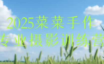 2025菜菜手作专业摄影训练营,实操练习和案例分析