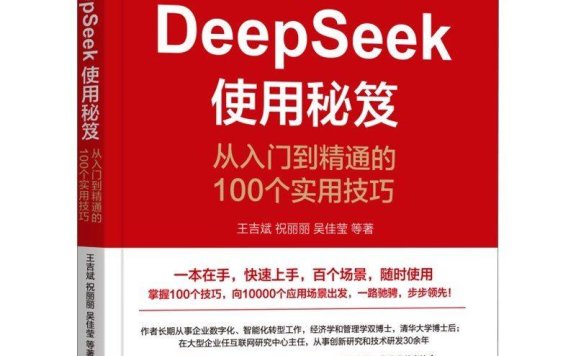 DeepSeek使用秘笈:从入门到精通的100个实用技巧_(王吉斌;祝丽丽;吴佳莹_等)_(Z-Library)epub电子书