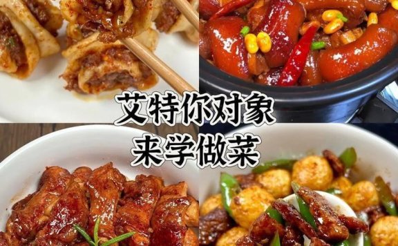 学做菜高价购买菜谱高清视频教程(132套) 涵盖各种家常菜及各地名菜的做法