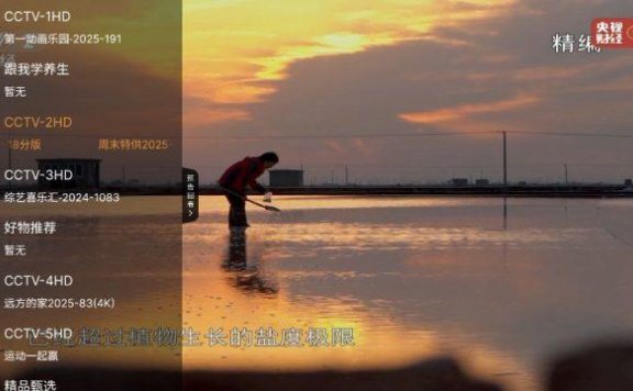 云帆直播 v1.0 纯净+央视+地方+直播