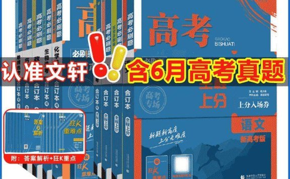 【三轮冲刺】2025年高考物理大题突破+限时集训(word版)