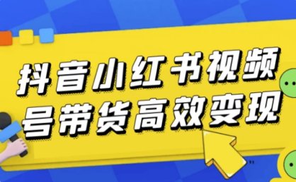 盗坤·抖音小红书视频号带货高效变现课程合集