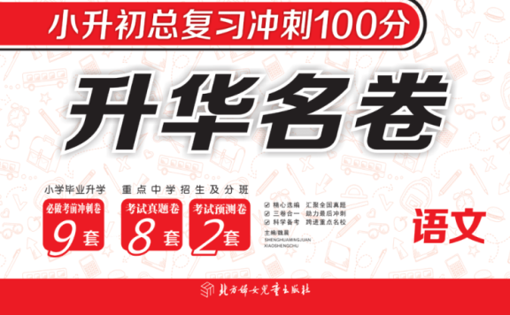 小升初总复习冲刺100分(语 数 英),精选小升初核心考点,语数英三科高效复习,助力学生冲刺满分