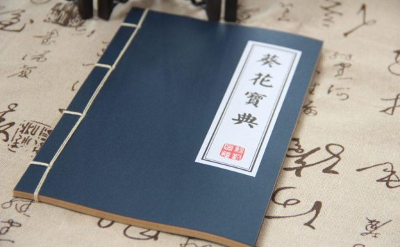 武林秘籍大全pdf,汇集各派武林绝学秘籍,涵盖武功心法、招式解析等