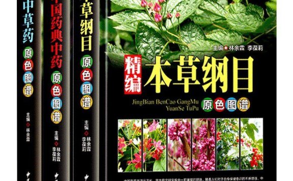 《中国本草彩色图鉴全3册·中医草药图谱大全》PDF高清版