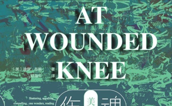 《魂归伤膝谷:美国西部印第安人史》PDF+全格式电子书籍