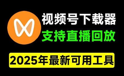 2025最新版本,视频号下载器!支持直播回放下载,使用超简单,一键下载为MP4格式,完全免费