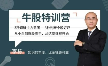 无为李栋老师《牛股特训营》从小白到选股高手 20节视频课